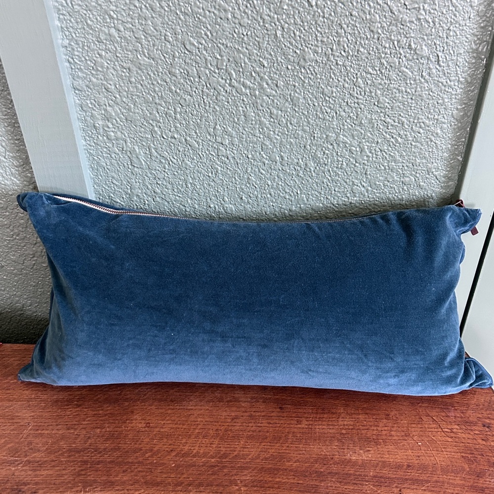 Pottery barn velvet like pillow cover